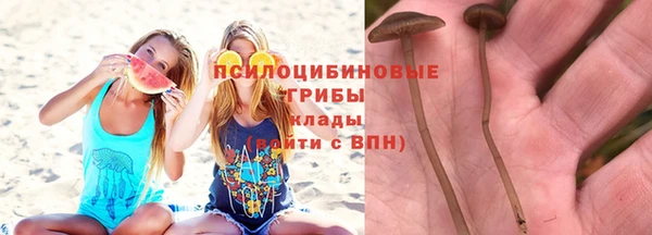 дурь Михайлов