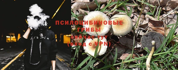 спайс Алзамай